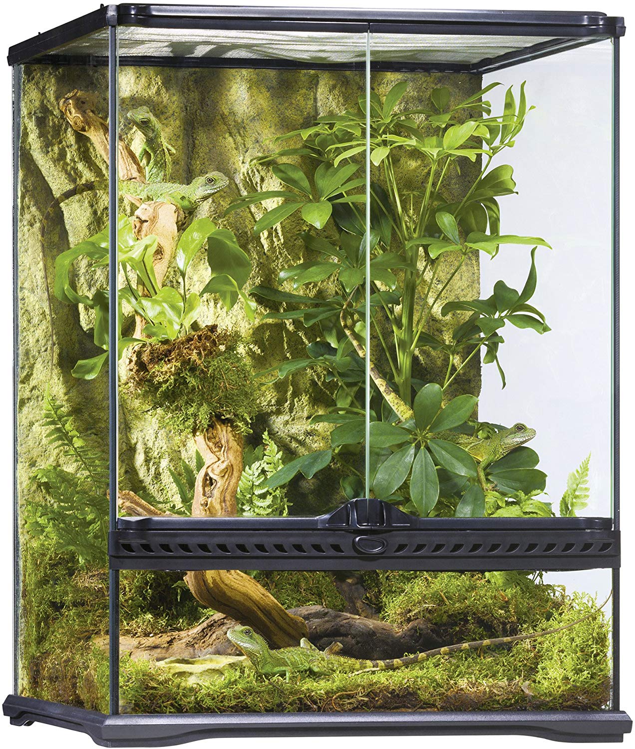 Exo Terra All Glass Terrarium is a good venomous snake cages