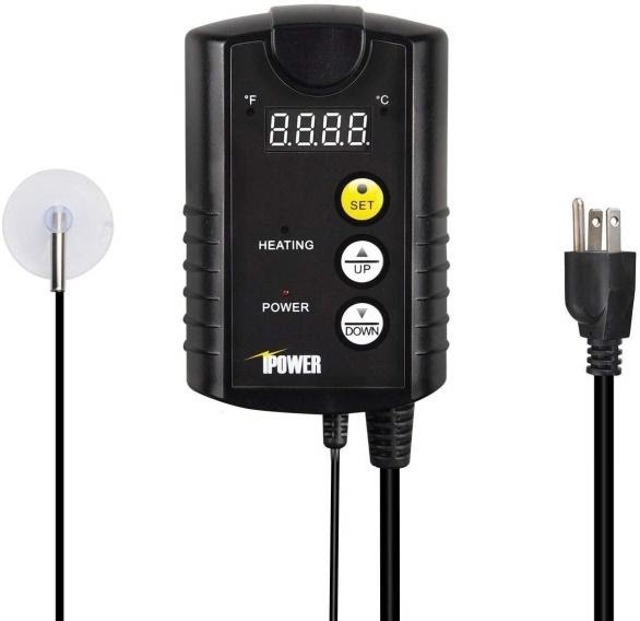 reptile thermostat for sale