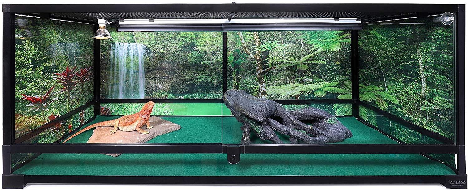 Carolina Custom Cages Terrarium