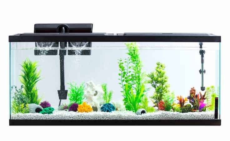 Aqua Culture Aquarium Starter Kit (55 Gallons) for sale at Walmart