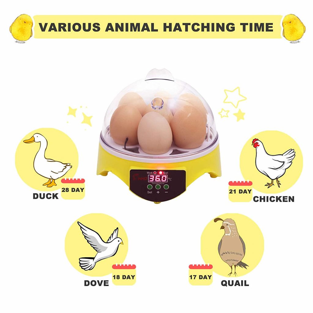 good egg incubator can be used for reptile