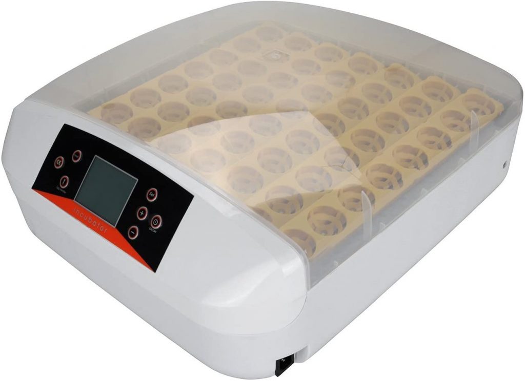 best egg incubators