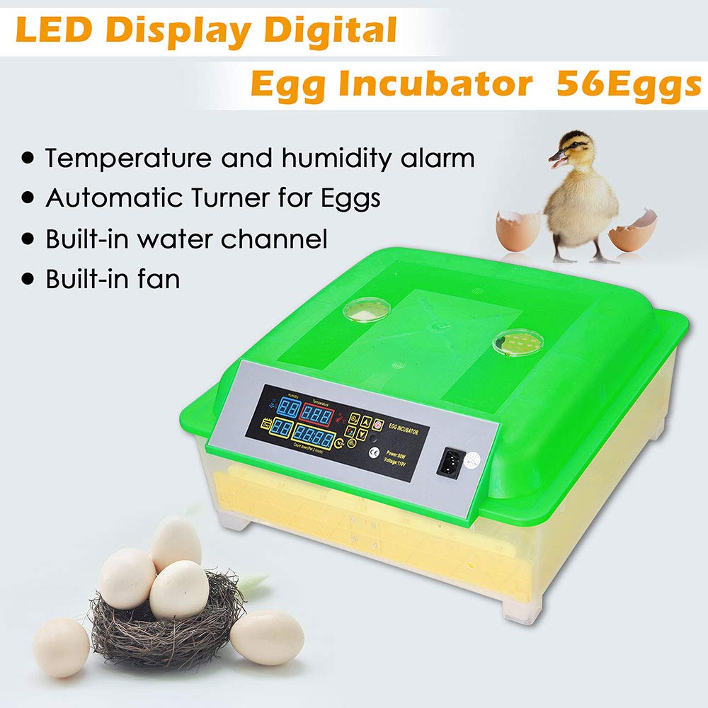 Yescom 80W Digital 56 Reptile Egg Incubator