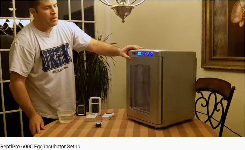 ReptiPro 6000 Egg Incubator Setup