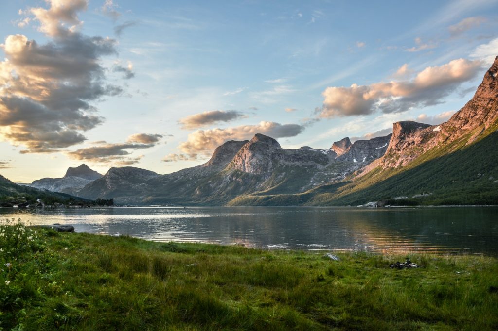 Norway wild is nice