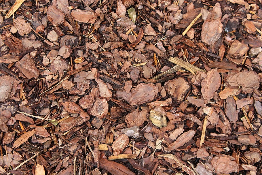 Bark Substrate
