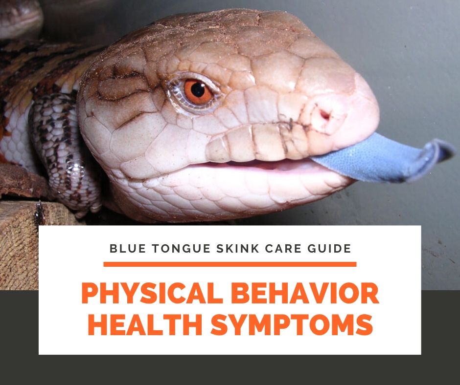 Physical Behavior Health Symptoms