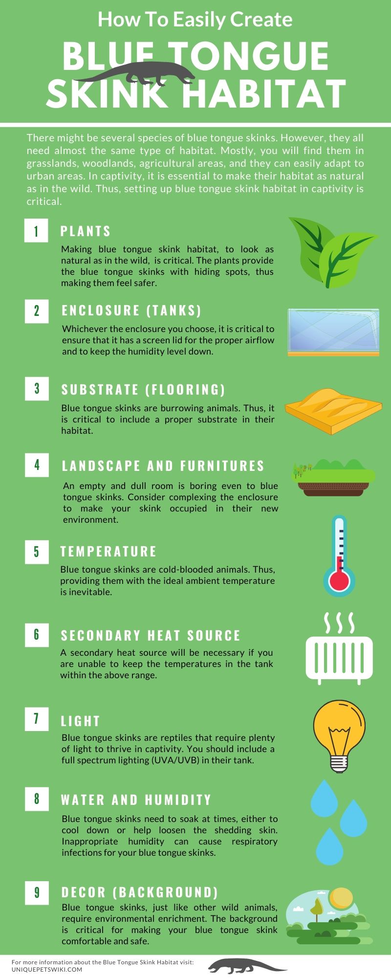 create blue tongue skink habitat