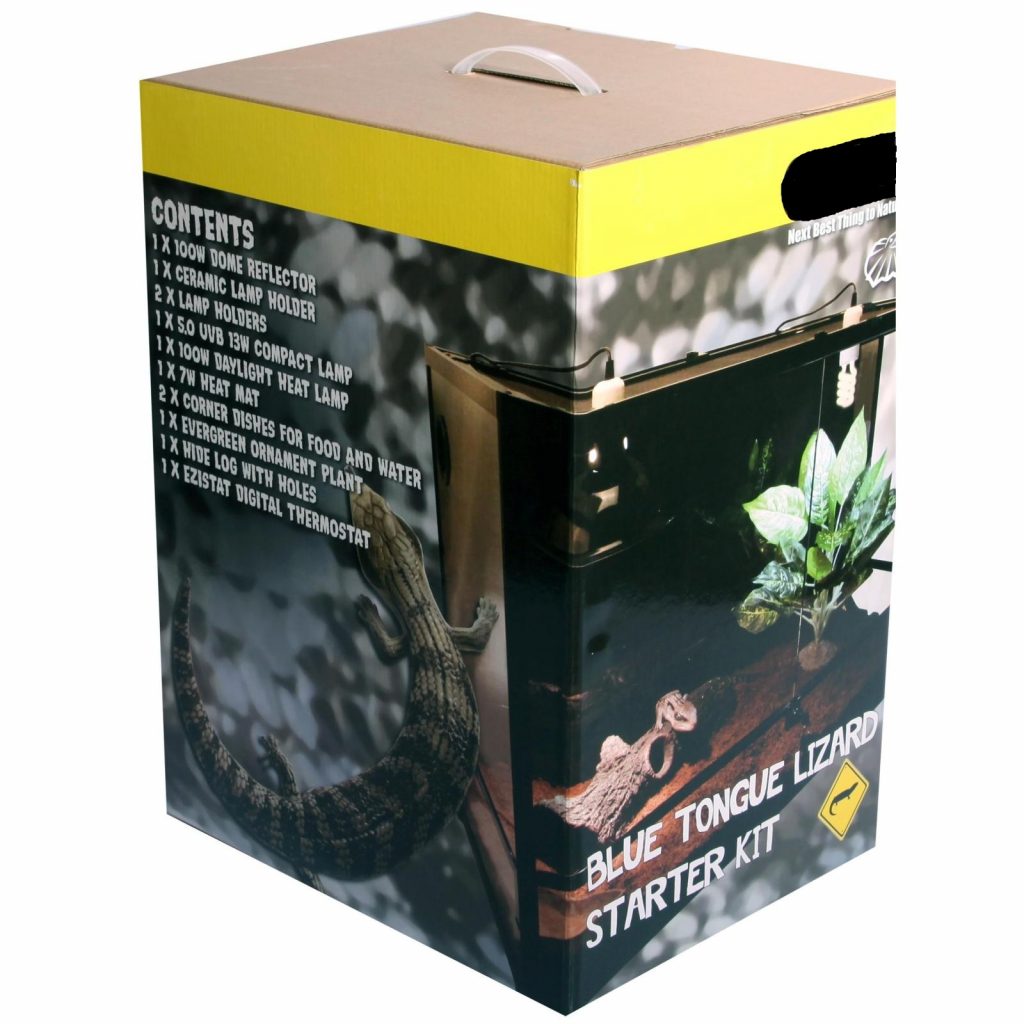 Blue Tongue Skink Starter Kit