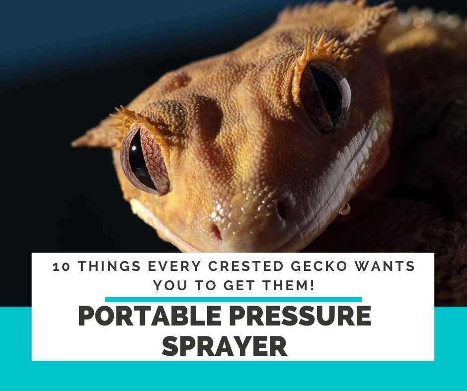 Portable Pressure Sprayer