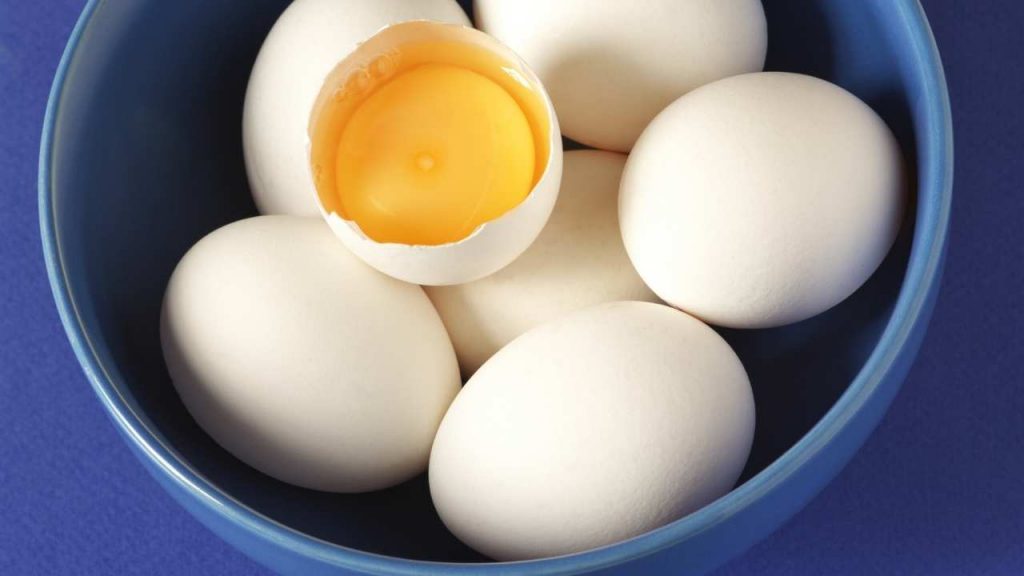 Can Bearded Dragons Eat Chicken Egg?