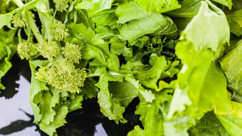 The Nutrients Found In Turnip Greens